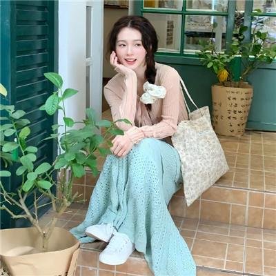 摩斯拉决战哥斯拉